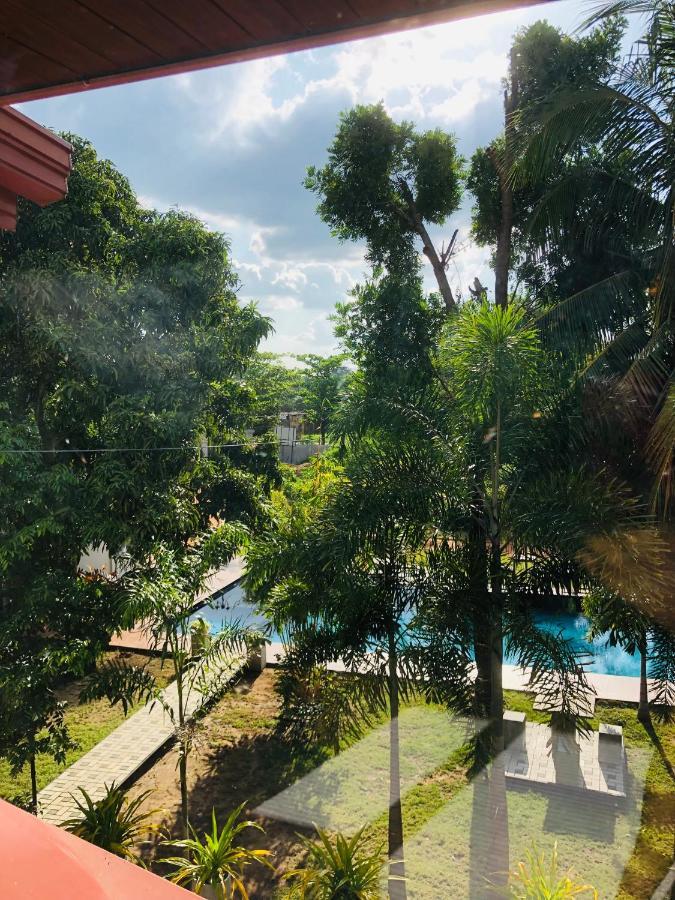 White Land City Hotel Dambulla Exterior photo